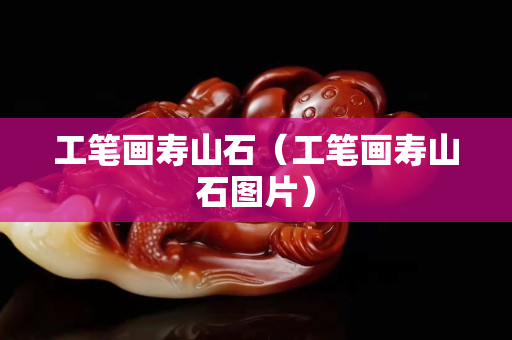 工筆畫壽山石（工筆畫壽山石圖片）
