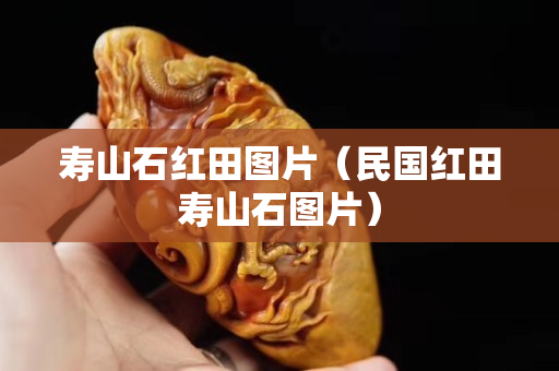 壽山石紅田圖片（民國紅田壽山石圖片）