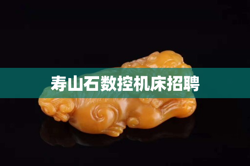 壽山石數(shù)控機(jī)床招聘