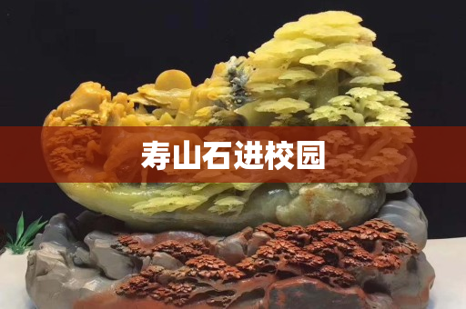 壽山石進(jìn)校園