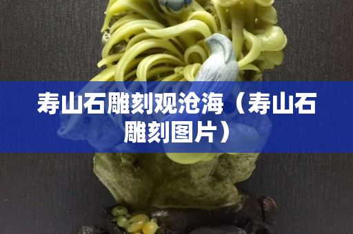 壽山石雕刻觀滄海（壽山石雕刻圖片）