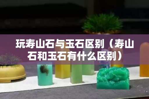 玩壽山石與玉石區(qū)別（壽山石和玉石有什么區(qū)別）