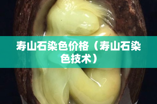 壽山石染色價格（壽山石染色技術）