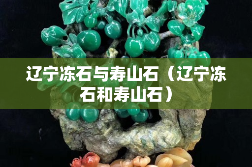 遼寧凍石與壽山石（遼寧凍石和壽山石）