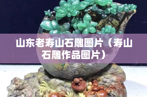 山東老壽山石雕圖片（壽山石雕作品圖片）