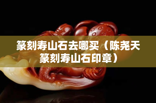 篆刻壽山石去哪買（陳堯天篆刻壽山石印章）