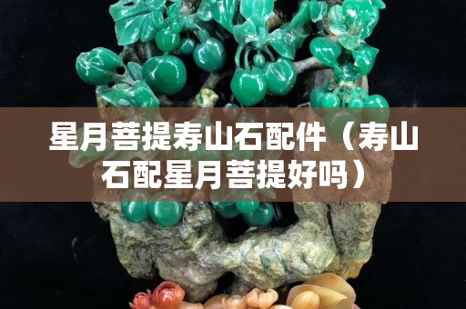 星月菩提壽山石配件（壽山石配星月菩提好嗎）