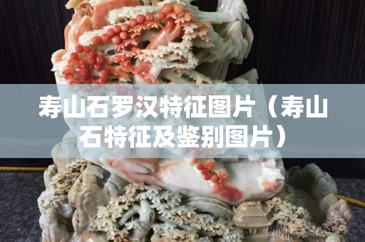 壽山石羅漢特征圖片（壽山石特征及鑒別圖片）