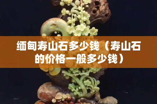 緬甸壽山石多少錢（壽山石的價(jià)格一般多少錢）