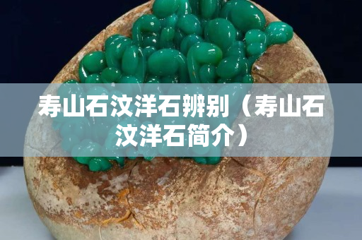 壽山石汶洋石辨別（壽山石汶洋石簡介）