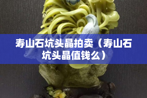 壽山石坑頭晶拍賣（壽山石坑頭晶值錢么）