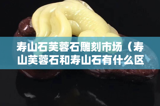 壽山石芙蓉石雕刻市場（壽山芙蓉石和壽山石有什么區(qū)別）