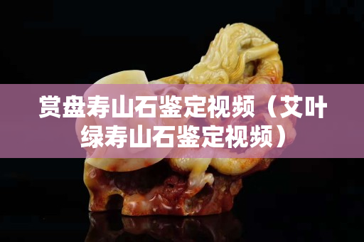 賞盤壽山石鑒定視頻（艾葉綠壽山石鑒定視頻）