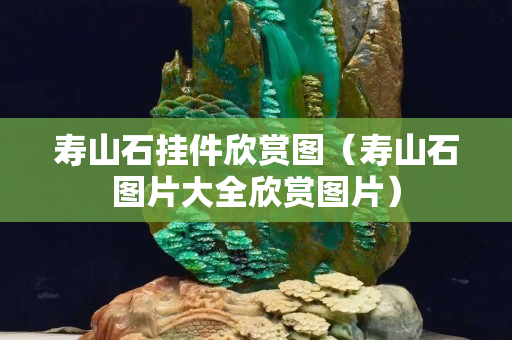壽山石掛件欣賞圖（壽山石圖片大全欣賞圖片）
