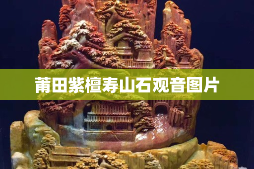 莆田紫檀壽山石觀音圖片