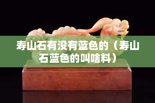 壽山石有沒有藍色的（壽山石藍色的叫啥料）