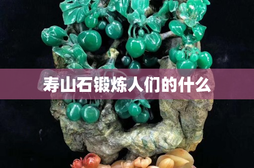 壽山石鍛煉人們的什么