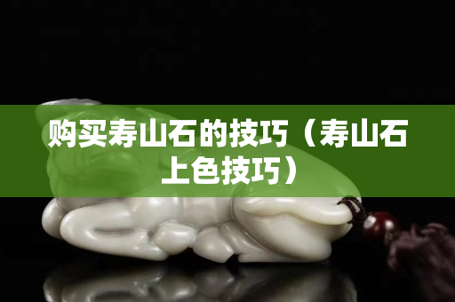 購買壽山石的技巧（壽山石上色技巧）