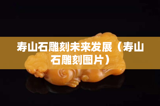 壽山石雕刻未來發展（壽山石雕刻圖片）