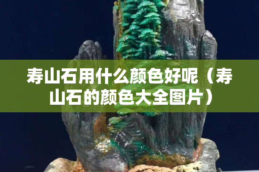 壽山石用什么顏色好呢（壽山石的顏色大全圖片）