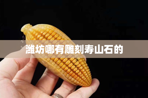 濰坊哪有雕刻壽山石的