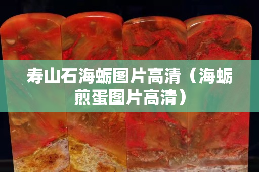 壽山石海蠣圖片高清（海蠣煎蛋圖片高清）