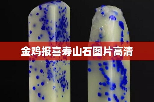 金雞報喜壽山石圖片高清