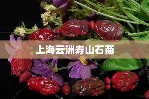 上海云洲壽山石商
