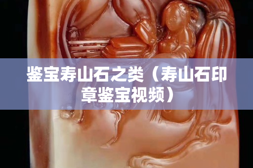 鑒寶壽山石之類（壽山石印章鑒寶視頻）