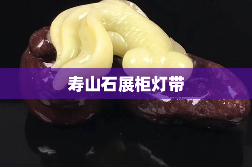 壽山石展柜燈帶