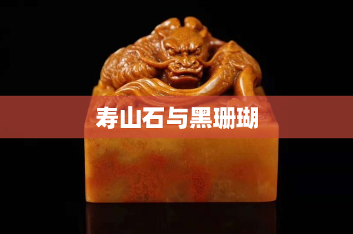 壽山石與黑珊瑚