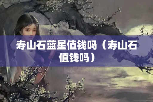 壽山石藍星值錢嗎（壽山石值錢嗎）