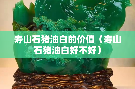 壽山石豬油白的價值（壽山石豬油白好不好）
