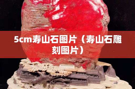 5cm壽山石圖片（壽山石雕刻圖片）