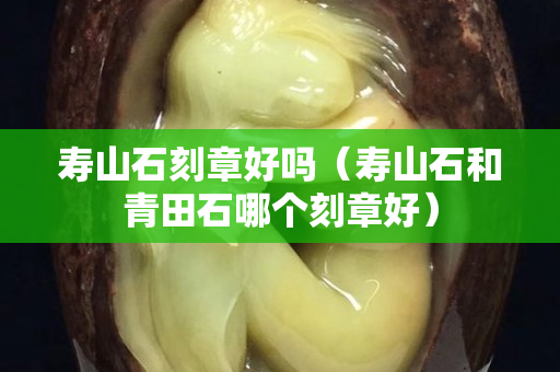 壽山石刻章好嗎（壽山石和青田石哪個刻章好）