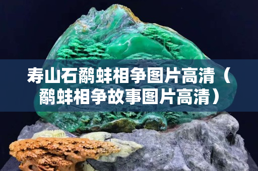 壽山石鷸蚌相爭圖片高清（鷸蚌相爭故事圖片高清）