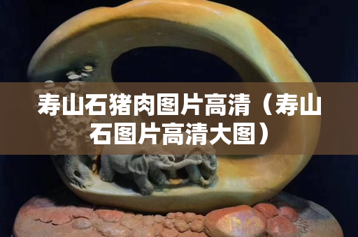 壽山石豬肉圖片高清（壽山石圖片高清大圖）