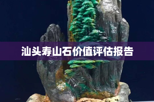 汕頭壽山石價值評估報告