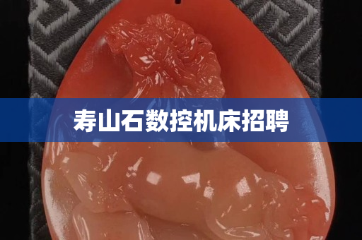 壽山石數控機床招聘