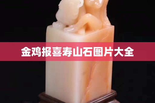 金雞報喜壽山石圖片大全