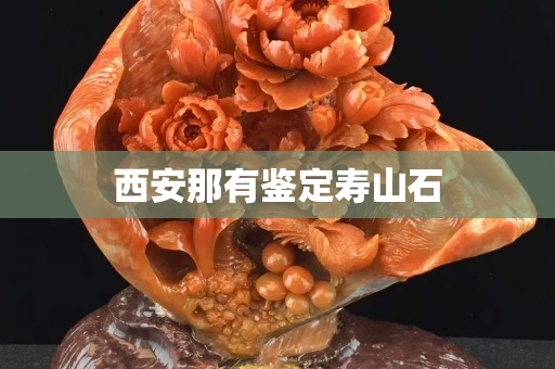 西安那有鑒定壽山石