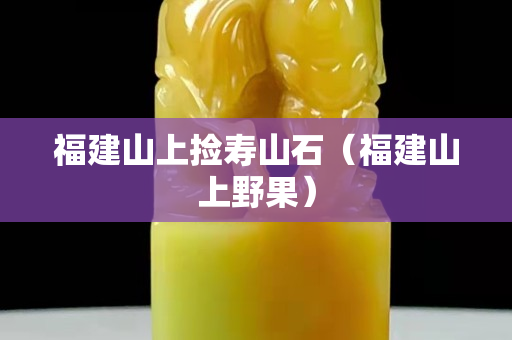 福建山上撿壽山石（福建山上野果）