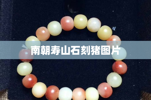 南朝壽山石刻豬圖片