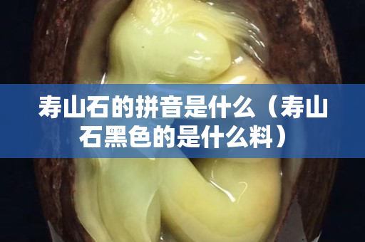壽山石的拼音是什么（壽山石黑色的是什么料）