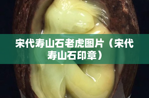 宋代壽山石老虎圖片（宋代壽山石印章）