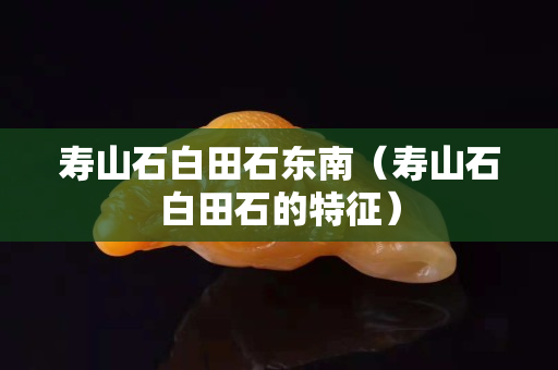 壽山石白田石東南（壽山石白田石的特征）