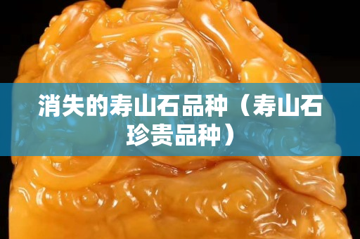 消失的壽山石品種（壽山石珍貴品種）
