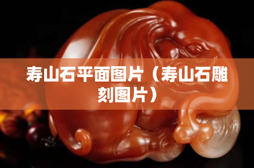 壽山石平面圖片（壽山石雕刻圖片）