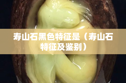 壽山石黑色特征是（壽山石特征及鑒別）