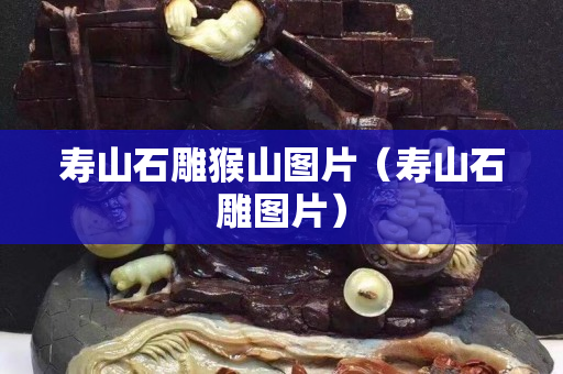 壽山石雕猴山圖片（壽山石雕圖片）
